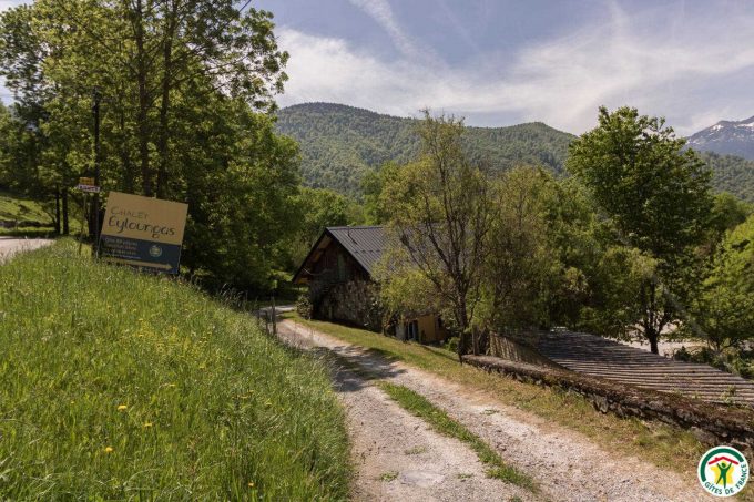 31G400762-3fa72fefaefb40a5bd9cdf6d97f42d79