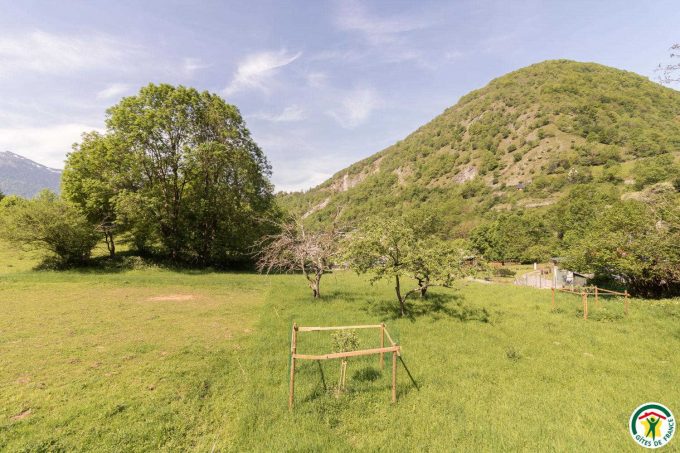 31G400762-a8f4951512bf4babb3eb9d3492eb8156