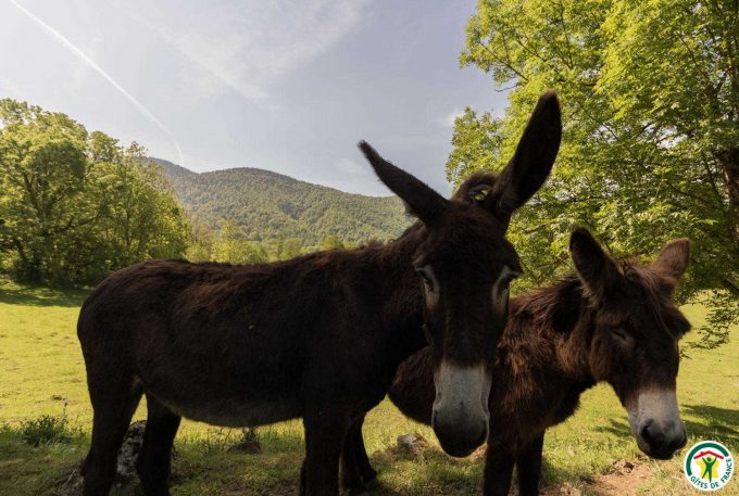 31G400762-d348479392eb45f1a90fe549a8c99eb6