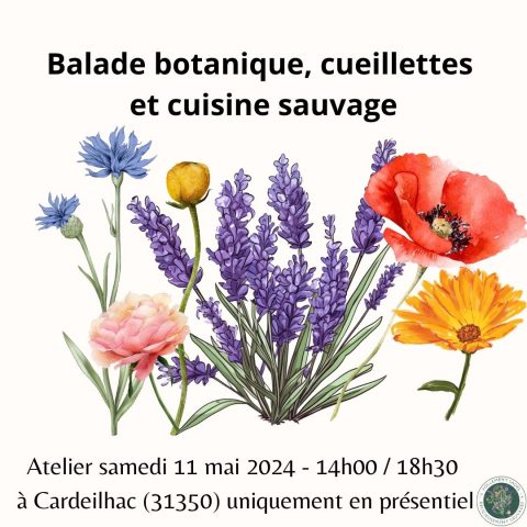 Balade-botanique-Cardeilhac-Comminges-Pyrenees-3