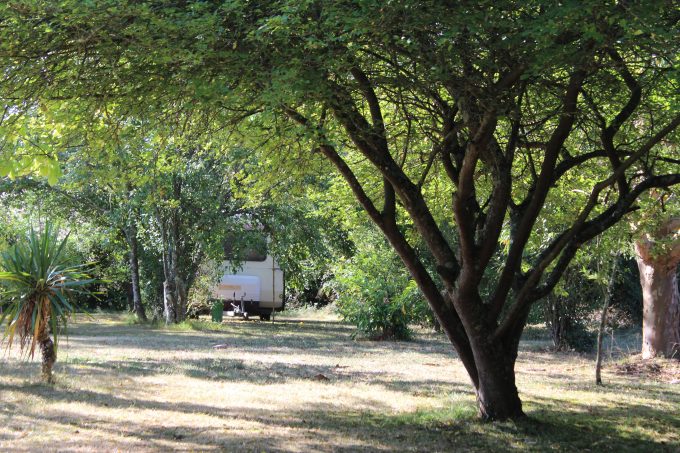 Camping-Le-Canard-Fou—Peguilhan-Lunax—Saint-Gaudens-Haute-Garonne-2