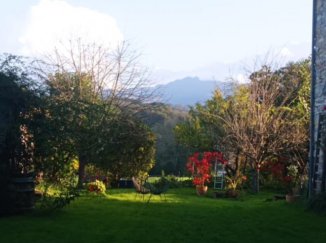 Capture-d-ecran-2025-05-28-103822