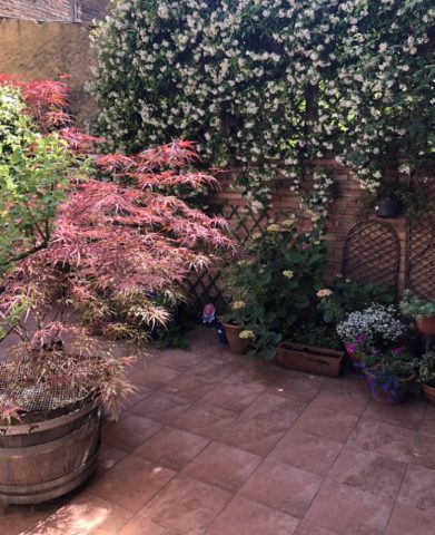 Chambre-2-reve-Exterieur-L-Isle-en-Dodon—Comminges-Pyrenees