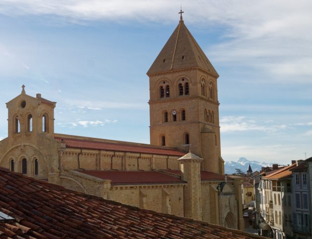 Collegiale-restauree-fev-2019-Cine-Photos-club-du-comminges–14-