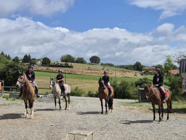 Ecuries-du-Cap—Boudrac—Comminges-Pyrenees