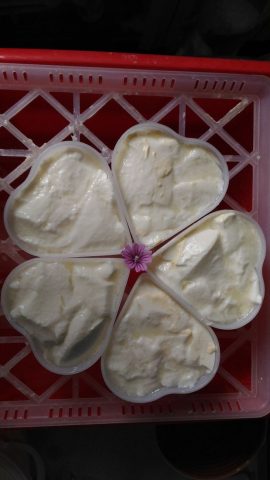 Ferme-La-Monge–l-Isle-En-Dodon–9-