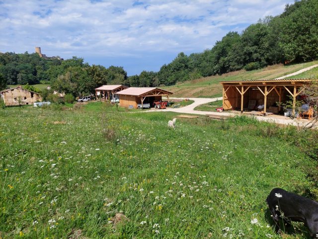 Ferme-Plumoc-Aurignac—oeufs–6-