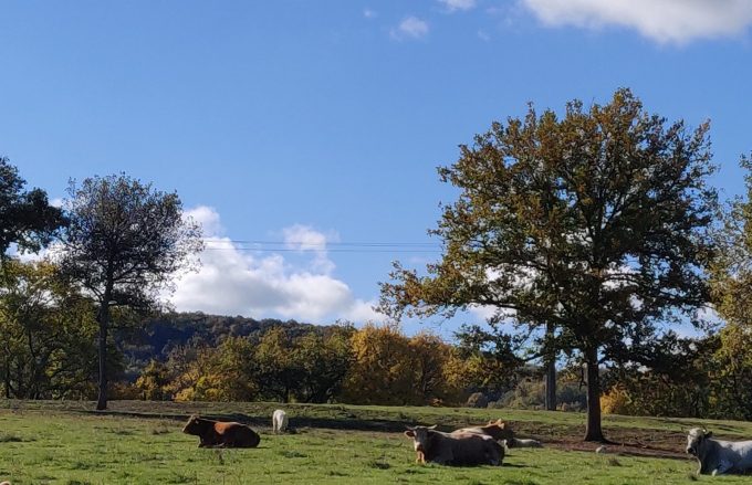 Ferme-du-Pujoloun–Philippe-Travert–Aulon–La-ferme-du-Pujoloun–1-