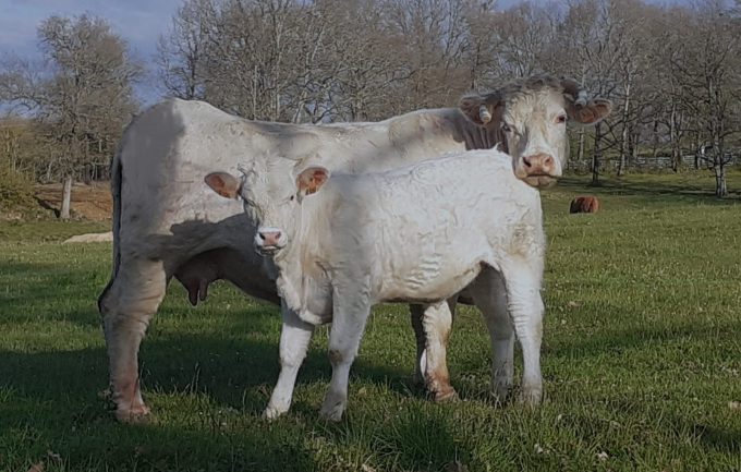 Ferme-du-Pujoloun–Philippe-Travert–Aulon–La-ferme-du-Pujoloun–2-