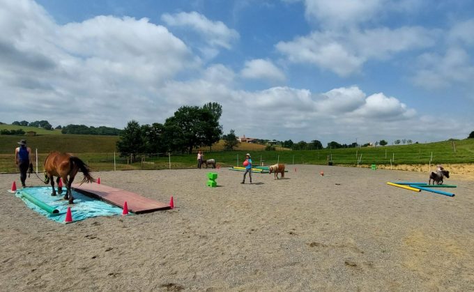 Ferme-equestre-les-collines-d-epona–Cassagnaberes-tournas–aurignac–comminges-2