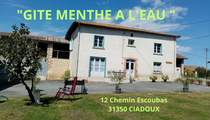 Gite-Menthe-a-l-eau–10—Ciadoux—Comminges-Pyrenees
