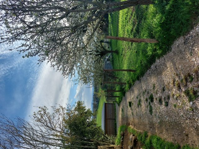 Gite-des-collines—chemin-acces—Cassagnabere-Tournas—Comminges-Pyreenees