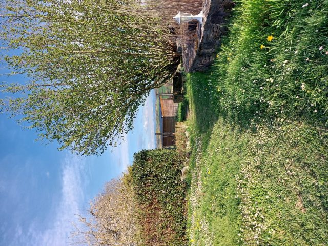 Gite-des-collines-jardin-Cassagnabere-Tournas—Comminges-Pyreenees