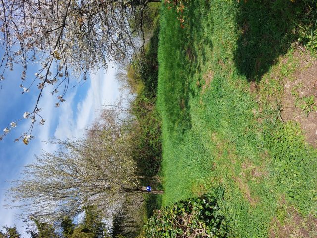 Gites-des-collines—grand-parking—Cassagnabere-Tournas—Comminges-Pyreenees