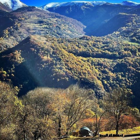 IMG-20211111-133035-911