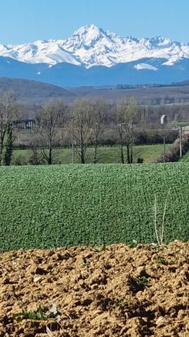 Lobersane—Saint-Laurent–vue-Comminges-Pyrenees