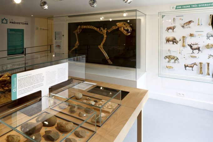 Montmaurin-musee-salle-prehistoire-D.Bordes-CMN
