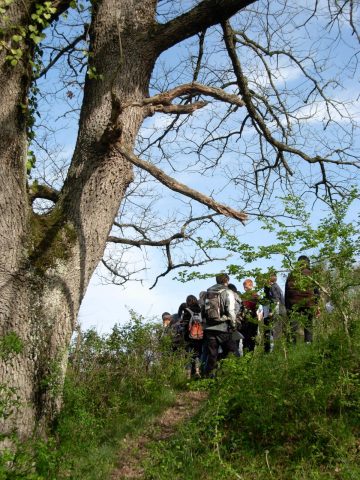 Natura-2000—Groupe—Boulogne-sur-Gesse