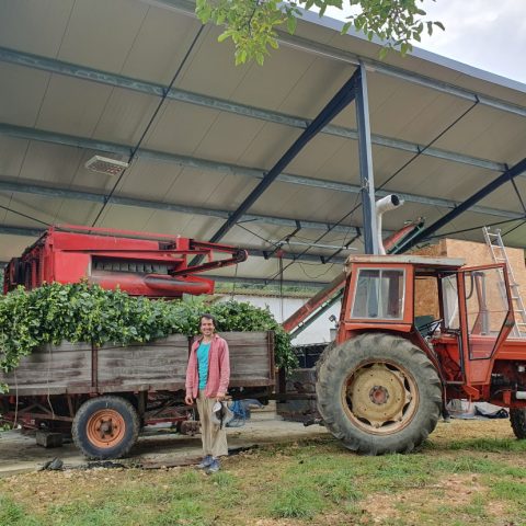 Sans-titre-19
