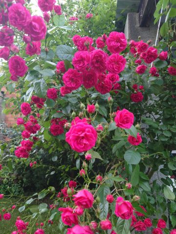 Villa-Margalideto-Saint-gaudens-Massif–Comminges-Pyrenees2