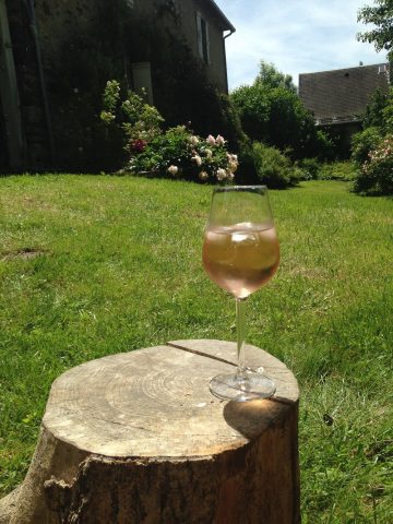 aperitif-au-jardin12